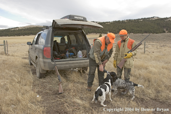 Upland game hunters at car with English Springer spaniels.