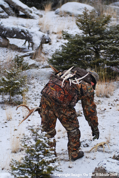 Hunter Collecting Antlers