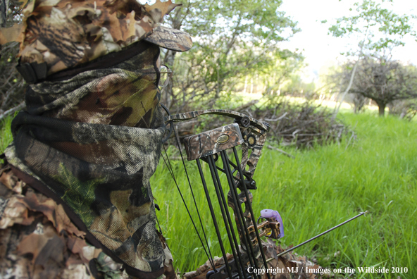 Turkey Hunter in Field