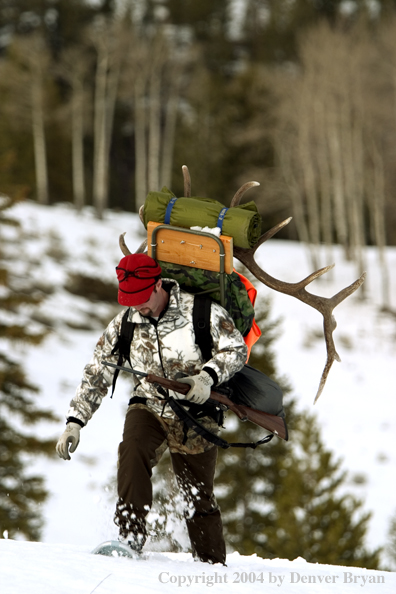 Big game hunter packing elk rack out on snowshoes.