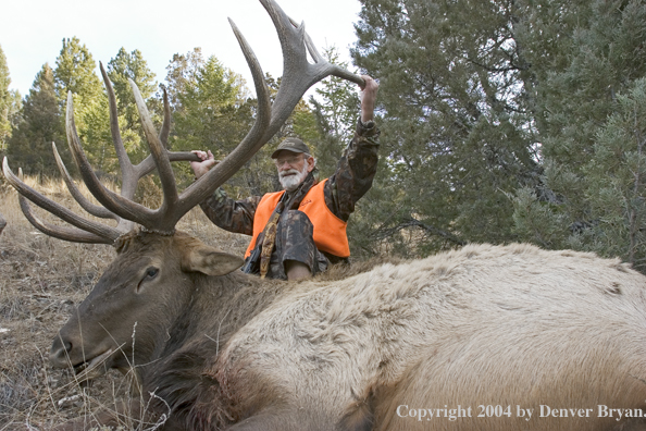 Big game hunter with bagged elk.