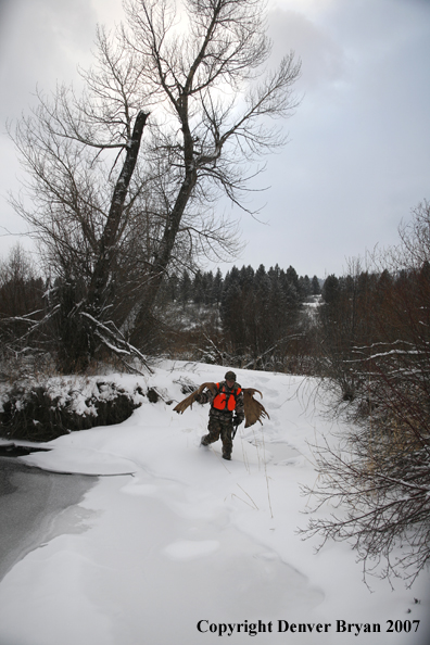 Moose hunter in field