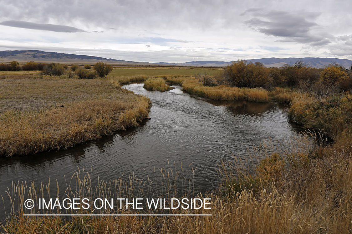 Smith River Landscape