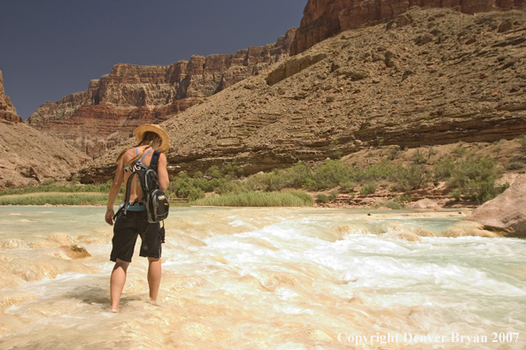 Woman walking in the Little Colorado River.  Grand Canyon.