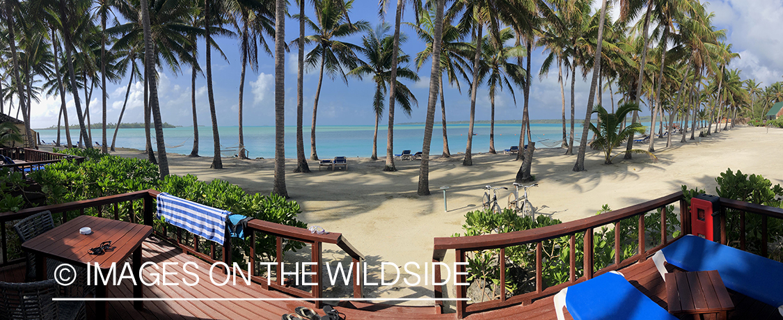 Beach front view on Aitutaki Island.