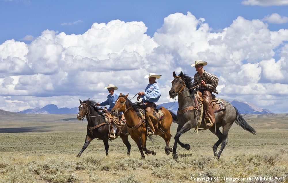 Horseback Riding in the Mountains.