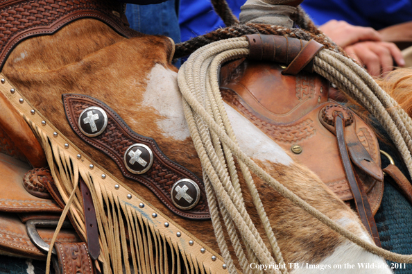 Cowboy's chaps and lariat