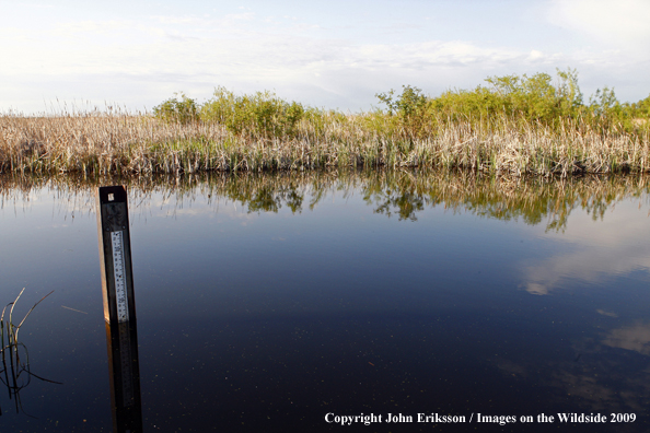 Waterdepth post wetlands