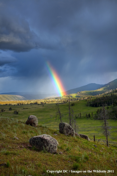 Yellowstone National Park rainbow