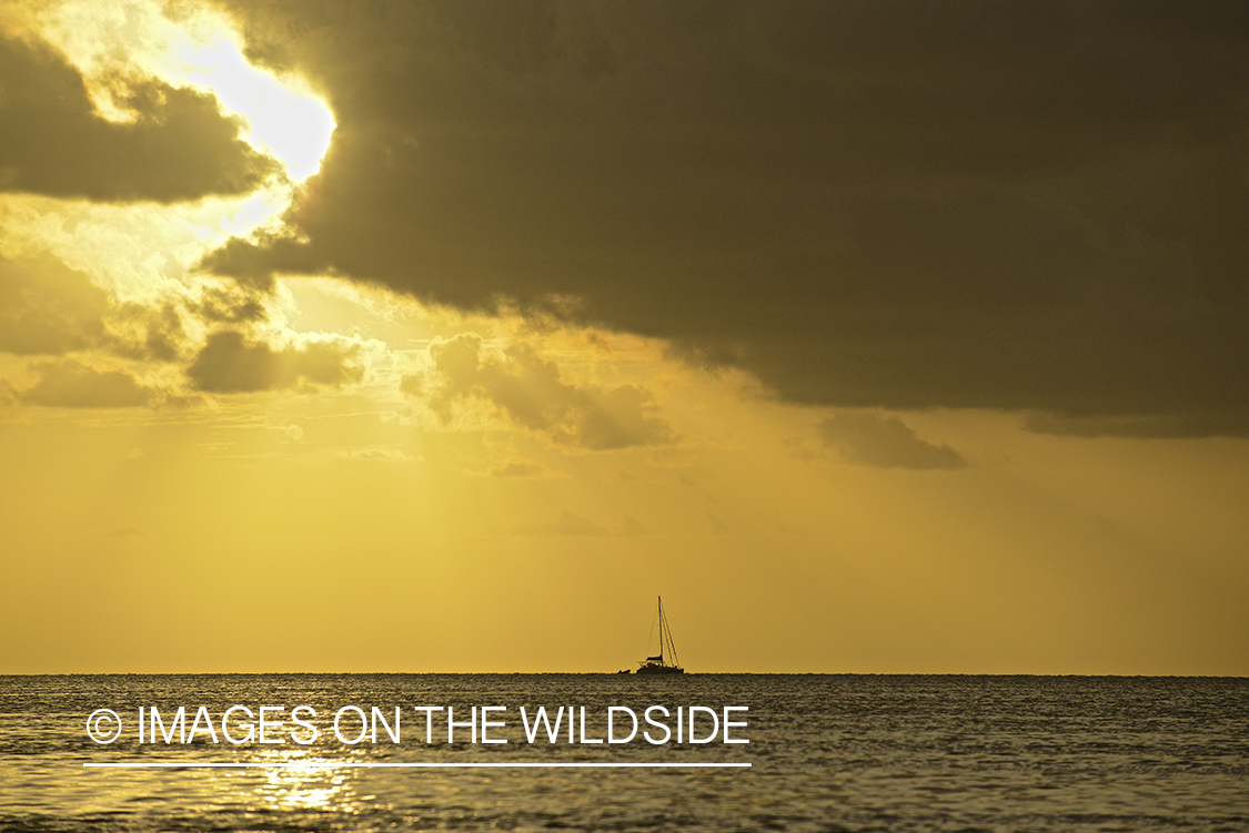 Sailboat on sea at sunset.