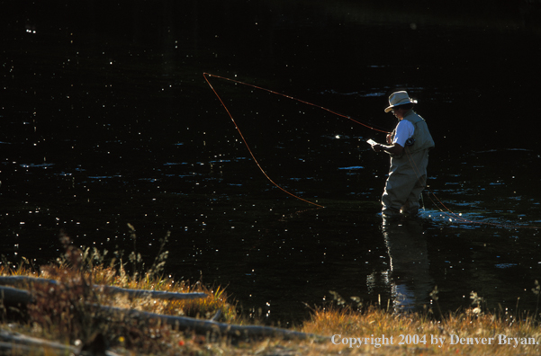 Flyfisherman tying a fly during a hatch.