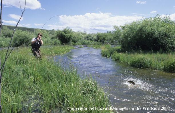 Angler plays a jumping fish