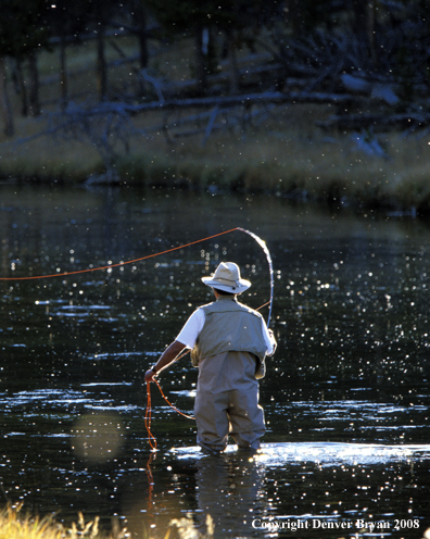 Flyfisherman casting during a hatch.