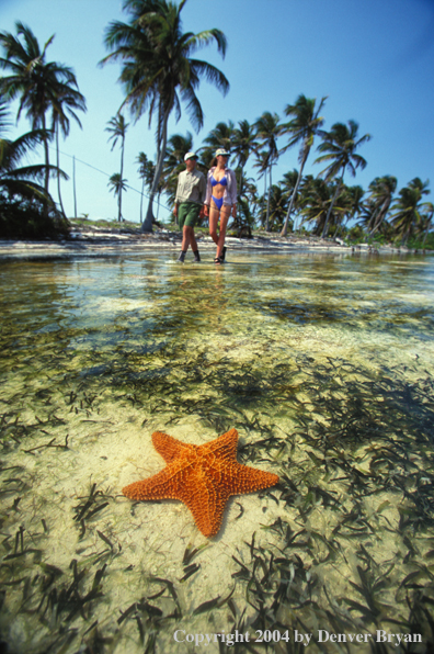 Saltwater flyfishing couple look for fish on flats.