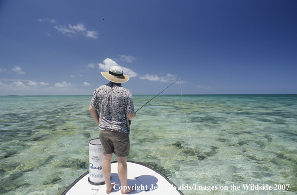 Angler flyfishing