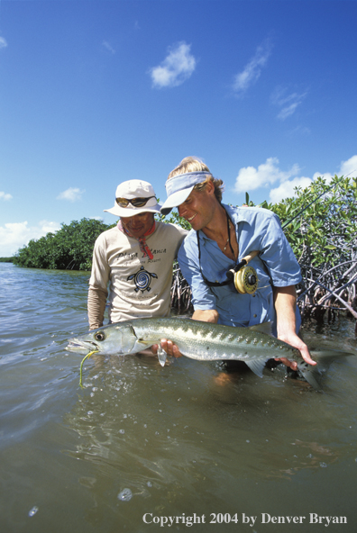 Saltwater flyfisherman and guide releasing barricuda.