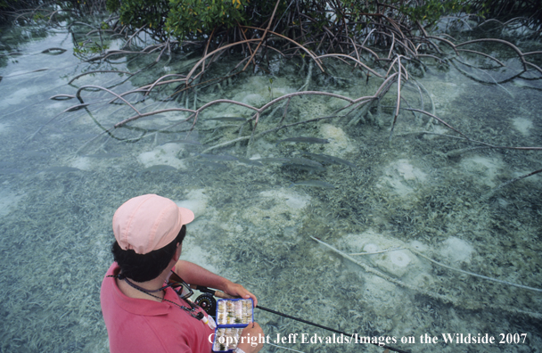 Angler tying fly when school of bonefish emerge