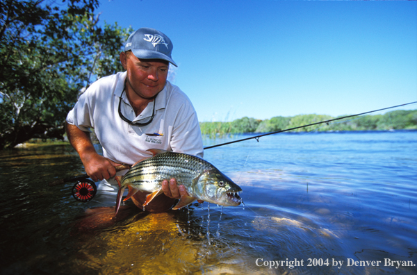 Flyfisherman with tiger fish. 