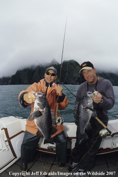 Captain and angler with two nice sea bass