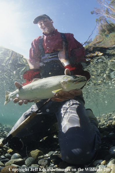 Cutthroat Trout