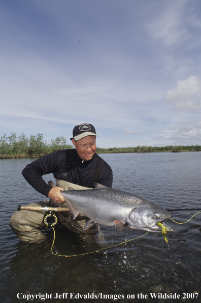 Flyfisherman with nice King Salmon