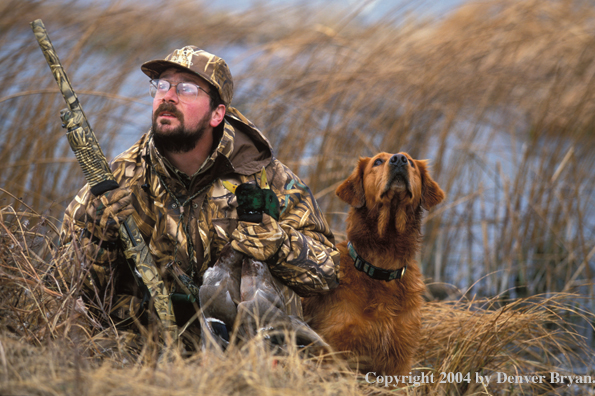 Waterfowl hunter with Golden Retriever and bagged ducks. 