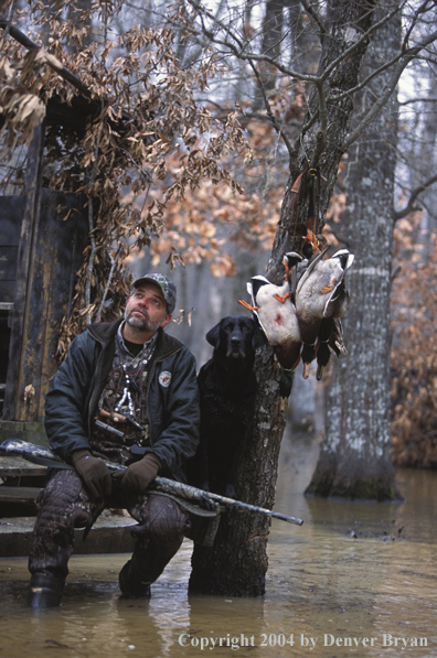 Waterfowl hunter with black Lab and bagged ducks. 