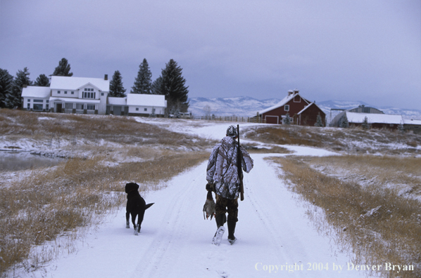 Waterfowl hunter with black Lab and bagged duck. 