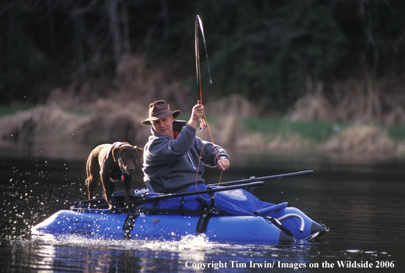 Chocolate Labrador Retriever on raft with fisherman.