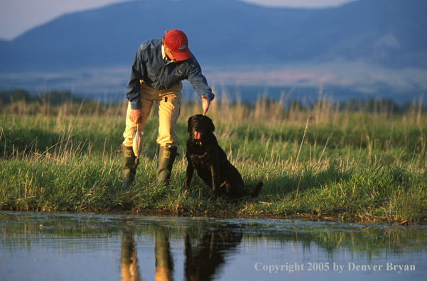 Trainer with black Labrador Retriever.