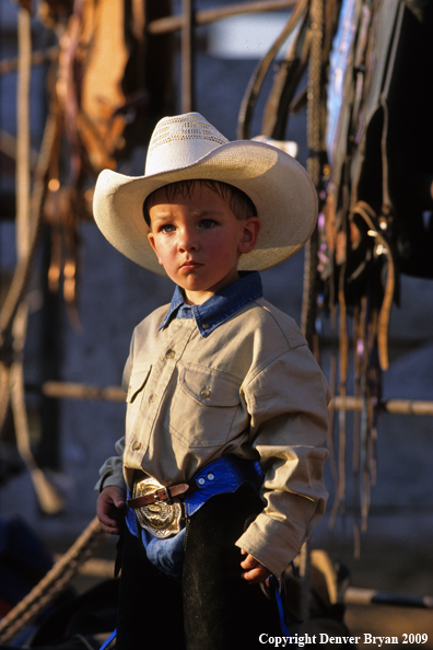 Young cowboy at rodeo