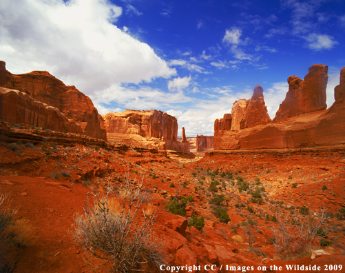 Park Avenue, Arches National Park, Utah