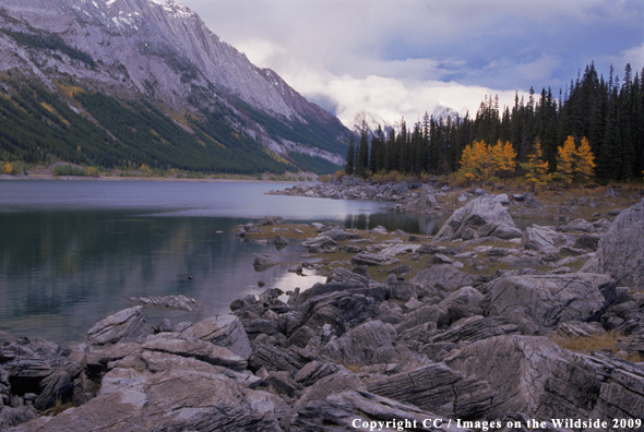 Jasper National Park