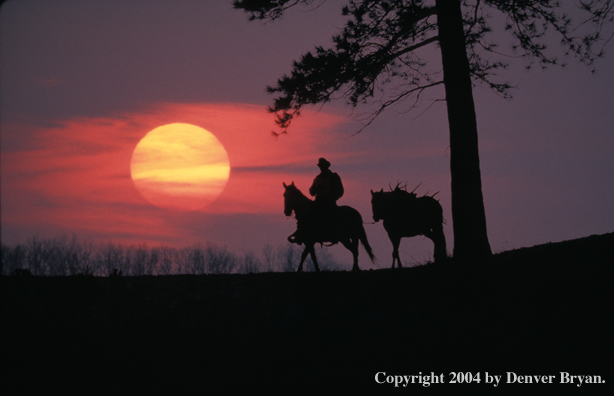 Big game hunter on horseback at sunrise/sunset.