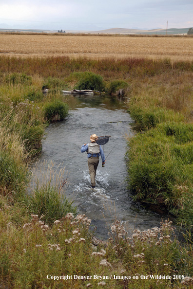 Flyfisherman fishing warm springs