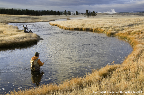 Flyfisherman at Nez Perce Creek