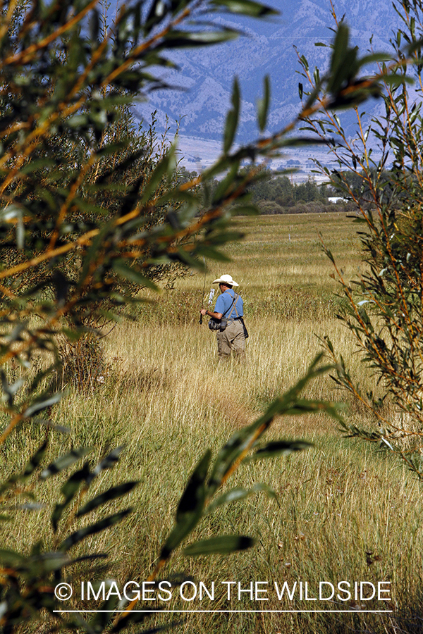 Flyfisherman walking through field to stream.