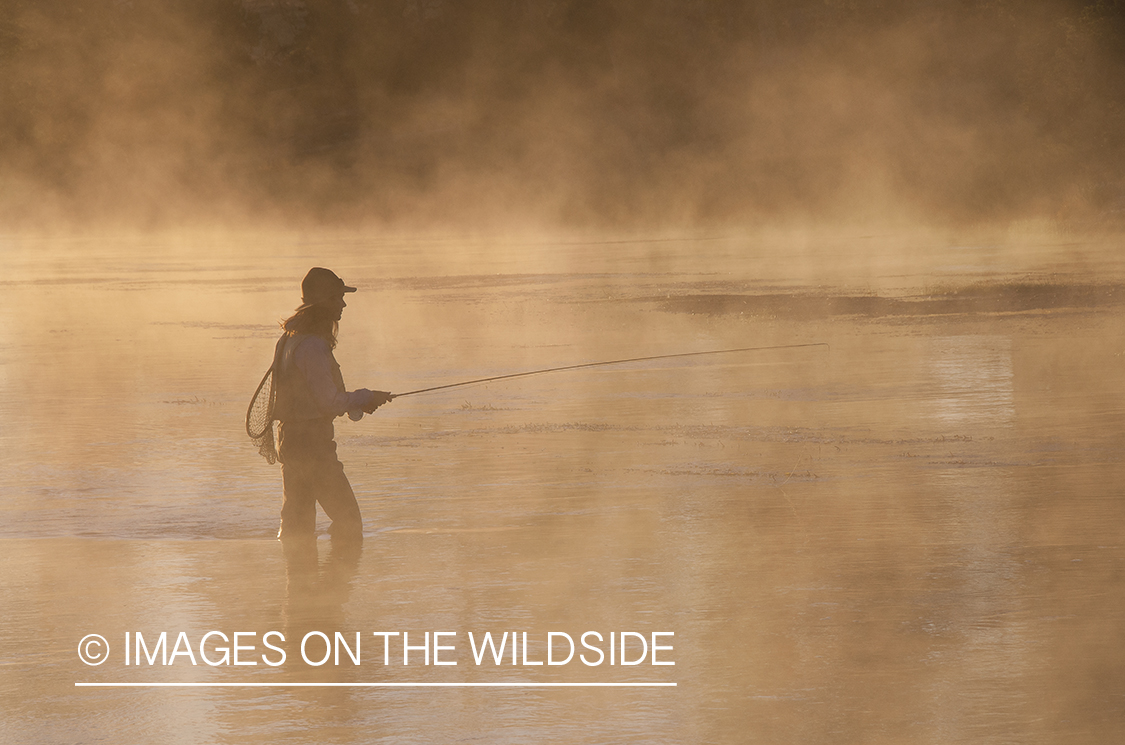 Woman flyfishing on Firehole River, Yellowstone National Park.