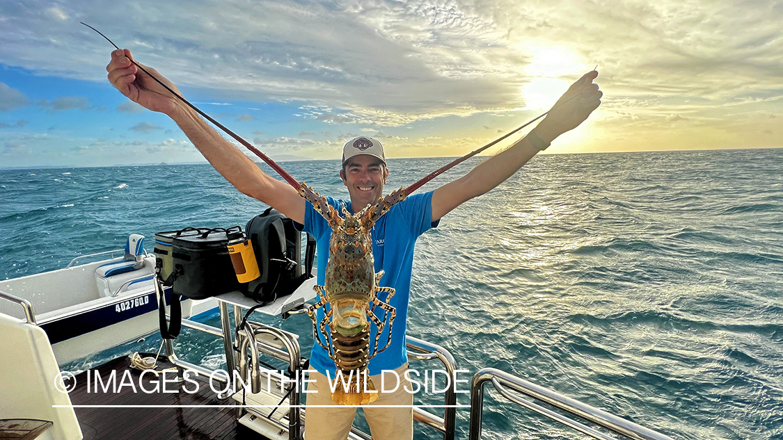 Flyfisherman with spiny lobster.