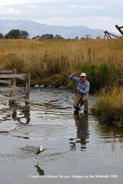 Flyfisherman fishing warm springs