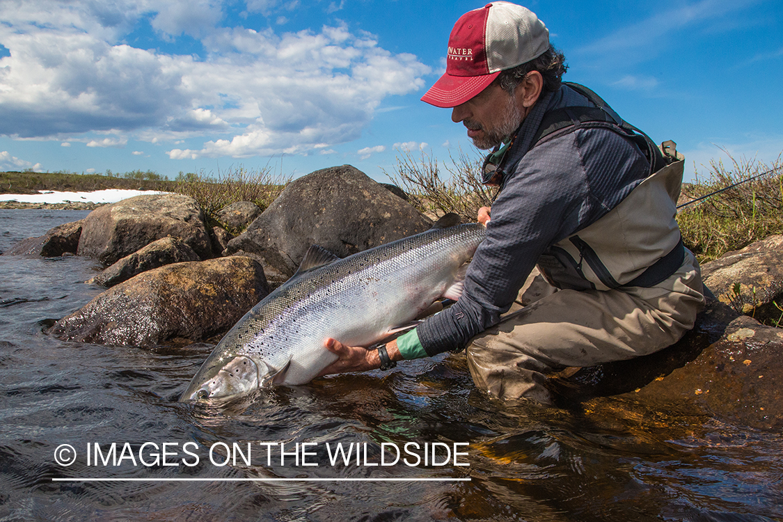 Flyfishing for Atlantic salmon on the Yokanga River in Russia.