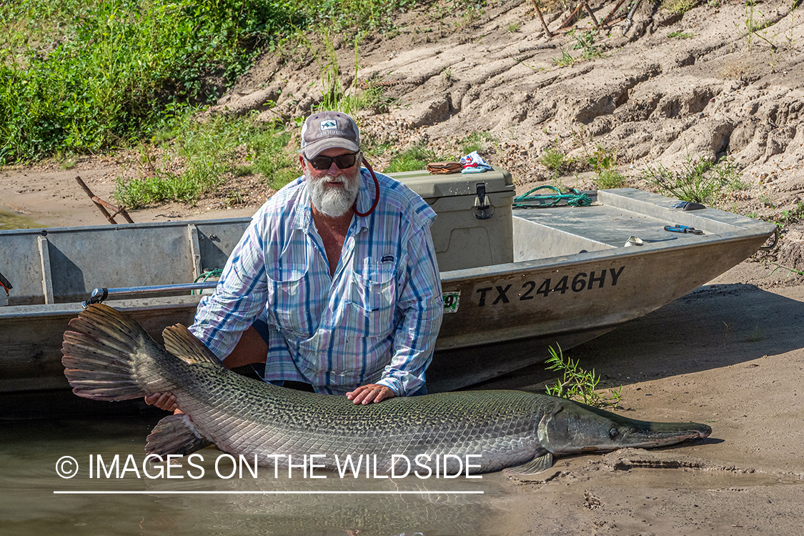 Flyfisherman with Alligator gar.