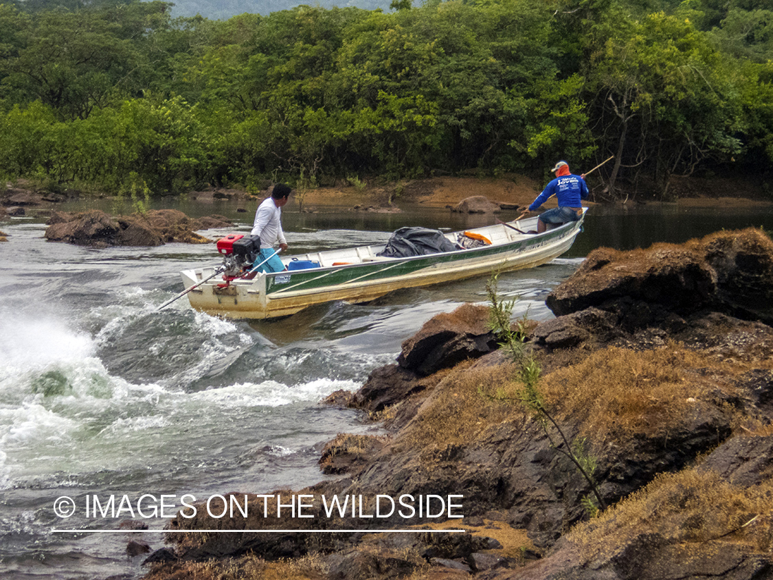 Flyfishermen on Amazon River in Venezuela.