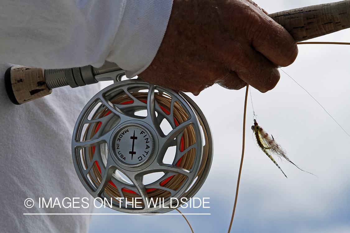 Saltwater flyfisherman fishing.  