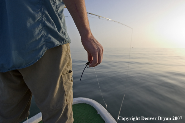 Flyfisherman tarpon fishing