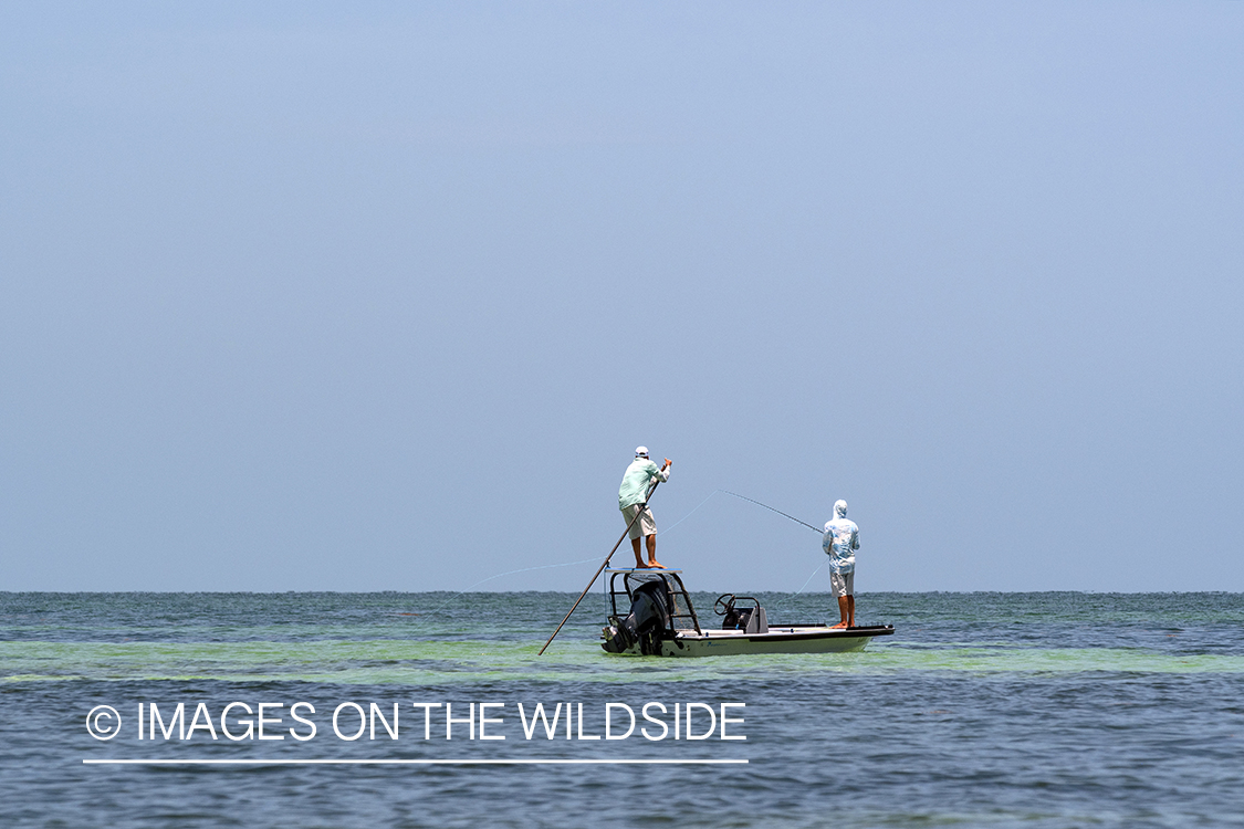 Searching for bonefish on flats boat.