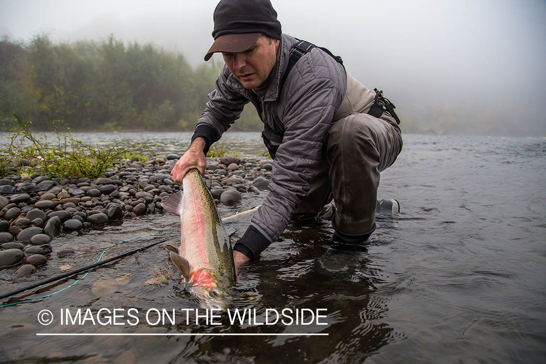 Steelhead fishing