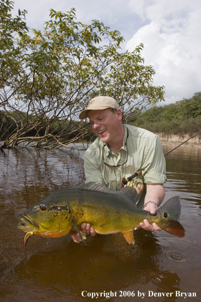 Fisherman holding Peacock Bass