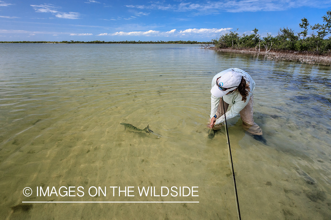 Flyfishing woman with bonefish.