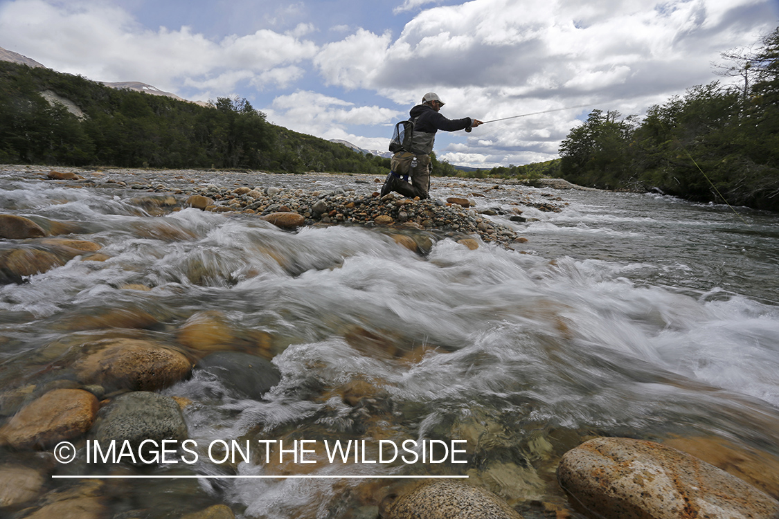 Flyfisherman fighting with trout.